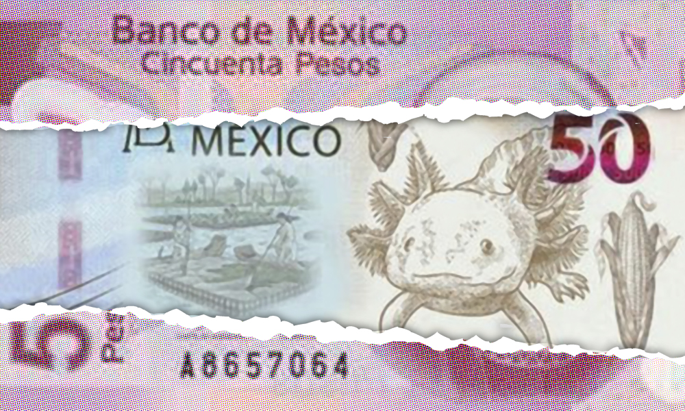 Ajolote en el billete de 50 es un hecho