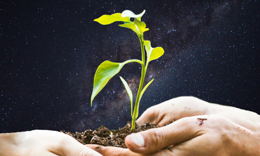 Esfuerzos agrícolas y space farming 