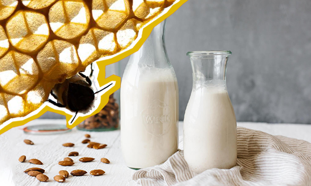 Leche de almendras genera un costo ambiental 