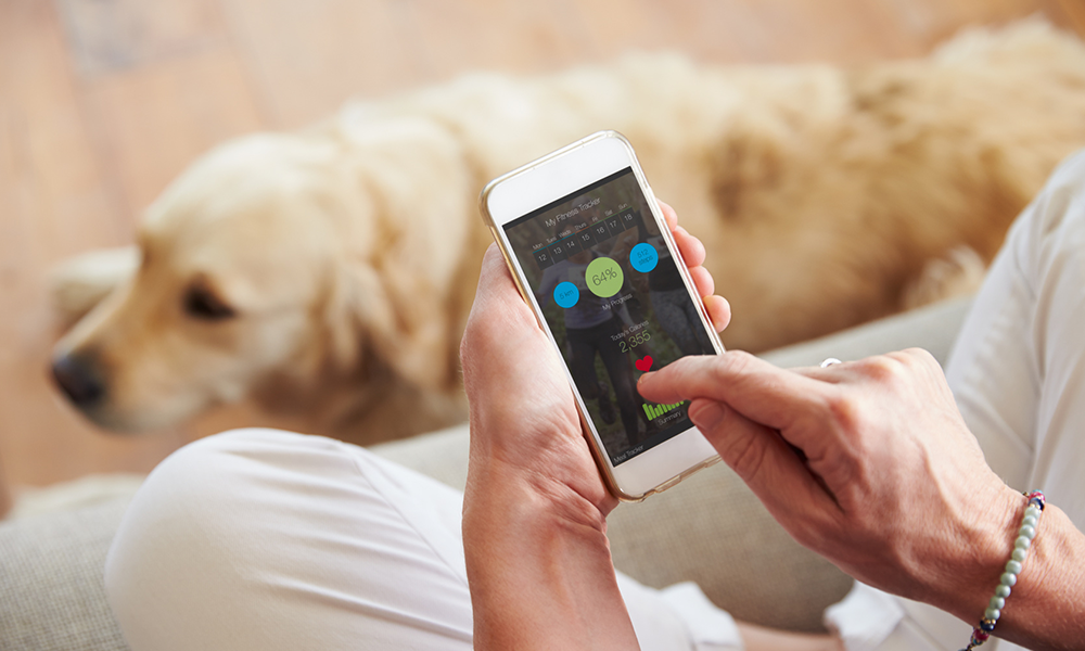 Tecnología, a disposición de las mascotas